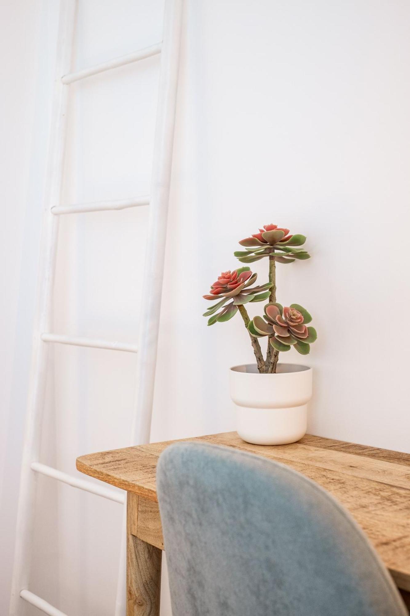 Casa Vica Apartment Sagres Room photo